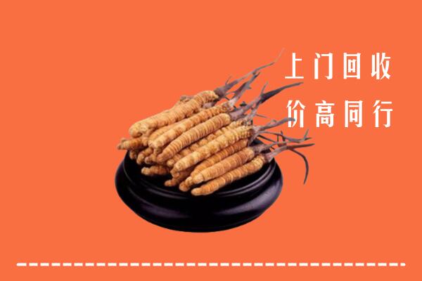 高价求购：北京市大兴区回收散虫草