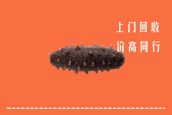 高价求购：北京市大兴区回收海参