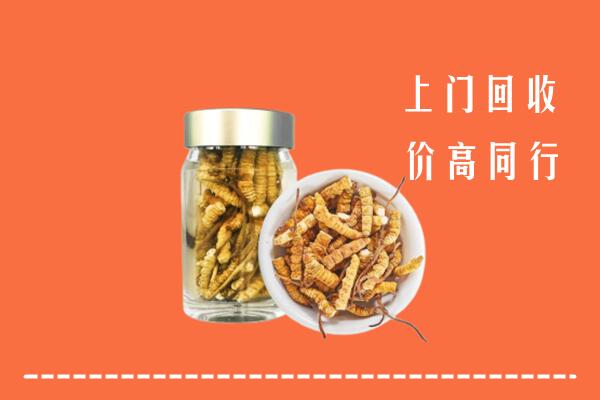 北京市大兴区回收冬虫夏草